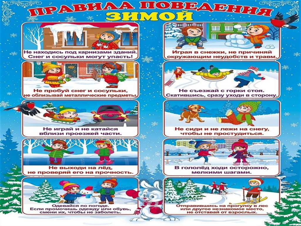 Изображения.