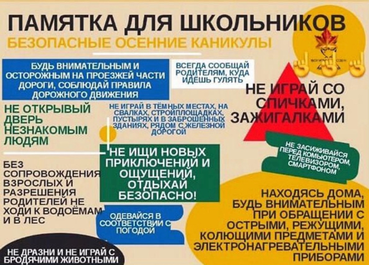 Правила дорожного движения и безопасного поведения на осенних каникулах для учеников и их родителей..